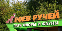 Красноярский зоопарк с момент основания посетили более 10 миллионов гостей - Комсомольская Правда