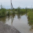 Уровни воды на реке Амур продолжают снижаться быстрее прогноза – МЧС ЕАО - РИА Биробиджан