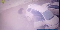 В Якутске водитель с 20-летним стажем сдал назад и сбил 2-летнего ребенка на парковке: малыш получил тяжелые травмы - ИА SakhaTime