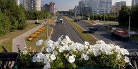 На Ханты-Мансийск 17 августа обрушатся сильные дожди - Комсомольская Правда