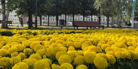 Погода в Коми 17 августа принесёт дожди и похолодание - Pro Город Ухта