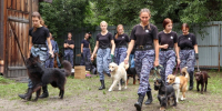 Фото: Музей военной истории - Алтайская правда