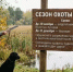 Открыт сезон охоты на пернатую дичь - Минэкологии РБ