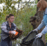 1-2026-08-17-kysht.jpg - Ozersk74.Ru