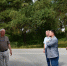 В регионе прорабатывают механизм строительства жилья для ветеранов СВО - Правительство Новосибирской области