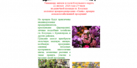 Ярмарка-распродажа «Осень». - Козульский район