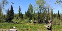 Кузбасс - единственный регион Сибири, где не допущено ни одного лесного пожара - Prokopievsk.ru