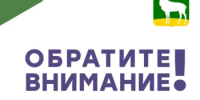 Бузулучанам напомнили о правилах пожарной безопасности - Администрация города