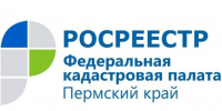 Земельный надзор онлайн: консультации и обращения — без визитов в ведомство - Город Губаха