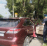Изображение к статье - Mercedes-Benz и Lexus RX350 арестовали за долги во время дорожного рейда в Хакасии - Медиагруппа Юг Сибири