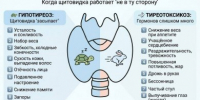 Гипотериоз и тиреотоксикоз. Когда щитовидка работает «не в ту сторону» - ГБУЗ МО МОНИКИ