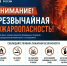 Нажмите для предварительного просмотра изображения - Быково-медиа