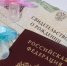 Шесть пар двойняшек за неделю родились в Приморье - Администрация Приморского края