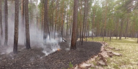 Площадь лесных пожаров в Красноярском крае уменьшилась до 263,3 тысячи га - Комсомольская Правда