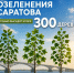 Осенью в Саратове высадят 300 деревьев - Общественное мнение