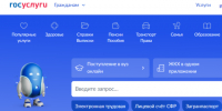 Как узнать причину штрафа на «Госуслугах» и разобраться в ситуации - Камская новь