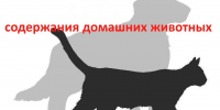 Памятки по содержанию собак! - Город Нерюнгри