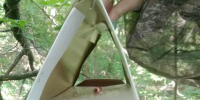 Феромонный мониторинг в Арчединском лесничестве Волгоградской области - Рослесозащита