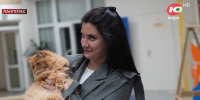 В музее Лангепаса на правах работников служат два кота - РИЦ Югра