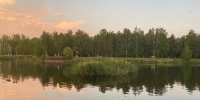 В омском парке отменили борьбу с комарами - СуперОмск