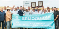 Подмосковная «Ермоловка» снова побила рекорд России: в чем секрет этой озимой пшеницы - Правительство Московской области