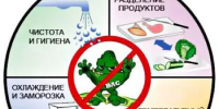 Рекомендации по соблюдению условий перевозки, хранения, реализации, уничтожения (утилизации) пищевой продукции - Учалинский район