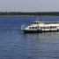 Температура воды в Волге у Самары составляет около +21 градуса 17 августа - Комсомольская Правда Самара