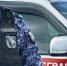 В Черногорске росгвардейцам пришлось усмирять буйного пациента больницы - Агентство Информационных Сообщений
