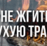 О запрете пала сухой растительности - Веселовский район