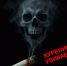 Вред и влияние курения на здоровье и организм человека - Администрация Славянского района