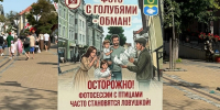В Зеленоградске установили щиты с информацией о фотографах с голубями, которые вымогают деньги у отдыхающих - Комсомольская правда