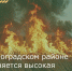В Зерноградском районе сохраняется высокая пожароопасность - Зерноградский район