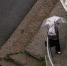 Фото: ПАИ - InformPskov.Ru