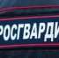 В Самарской области росгвардейцы обезвредили мужчину, подозреваемого в поножовщине - НИА Самара