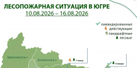 В Югре тушат лес на 14 гектарах - ИД Новости Югры