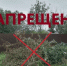 Что нельзя выбрасывать в обычные мусорные контейнеры: новые правила и последствия - Сеченовский муниципальный округ