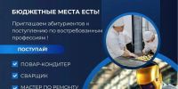 Твоя профессия – твоё будущее! - Шемышейский район