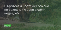 Поделитья во ВКонтакте - Братская Студия Телевидения