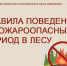 Правила поведения в пожароопасный период в лесу.. - Каратузский район