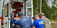 На носилках вынесли из леса грибника тверские спасатели - Газета Вся Тверь