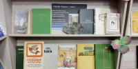 Книжная выставка-обзор “Пришли Спасы, готовь запасы” - Библиотеки Тамбовской области