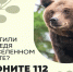 Уважаемые жители Мотыгинского округа!. - Мотыгинский район
