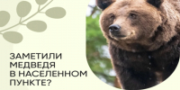 Уважаемые жители Мотыгинского округа!. - Мотыгинский район