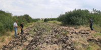 В Ставрополе обновили свыше 90 км минерализованных полос для защиты от пожаров - ИА Победа 26