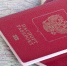 Четыре страны Европы перестанут признавать загранпаспорта РФ старого образца - M24.Ru
