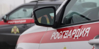 Профессионально и оперативно: сотрудники Росгвардии задержали в Тольятти подозреваемого в нанесении ножевого ранения - ТК ТОЛЬЯТТИ 24