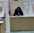 Курянин отсудил 10 тысяч рублей за гибель котенка - Курские Известия