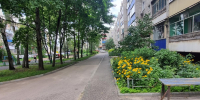 Мэрия и общественники из Клуба городского жителя оценили порядок во дворах 9 микрорайона - Город Липецк