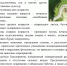 Информация по распространению хлопковой совки на территории Российской Федерации в 2026 году - Тайшетский район