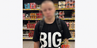 В Туле установили подозреваемую в краже продуктов и пяти мобильных телефонов - ИА Тульская служба новостей